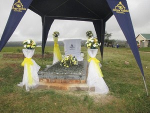 80394EFD7B43459DACCBDA9845FD9553